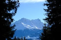 Winter walk, photo 2